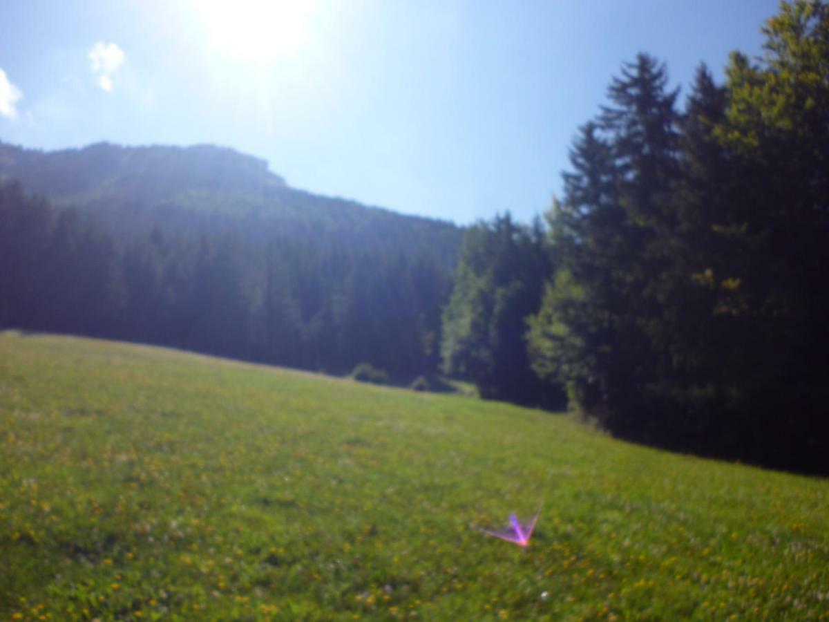 Bed and Breakfast Le Chalet De La Conversaria Villard-de-Lans Exterior foto